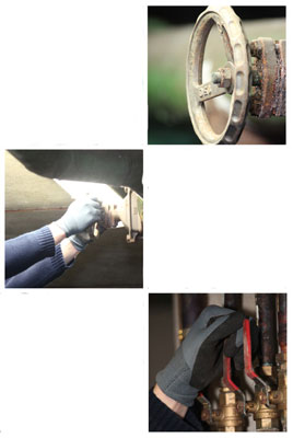 Our Company