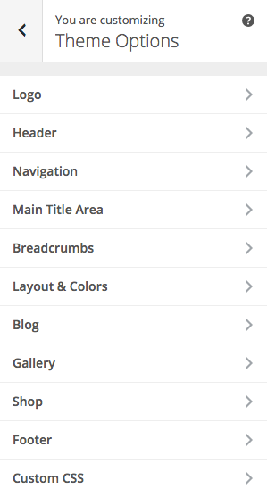 Theme Customizer